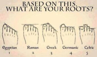 1013577_834447743236137_1561924309_n1-7867258