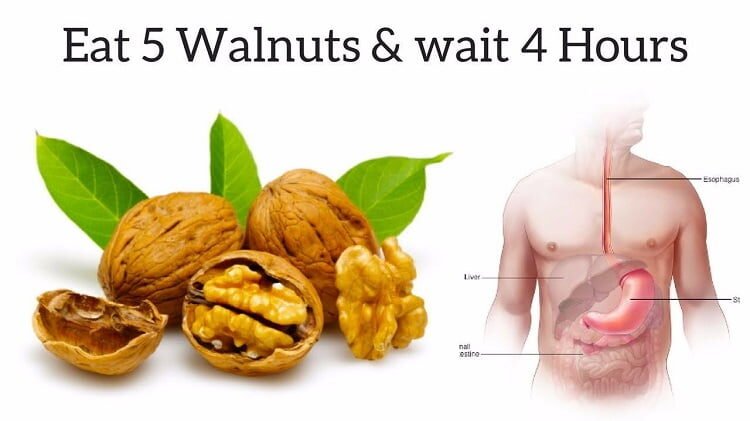 eat-5-walnuts-and-wait-4-hours-this-is-what-will-happen-to-you-3102361